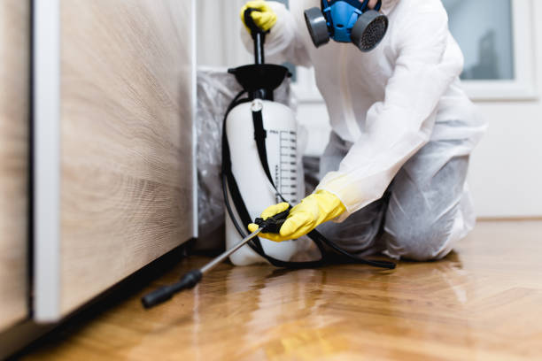 Best Pest Control for Homes  in Mount Vernon, GA