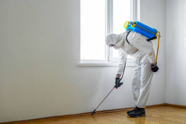 Pest Prevention Services in Mount Vernon, GA