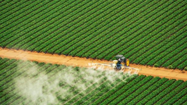 Reliable Mount Vernon, GA Pest Control Solutions