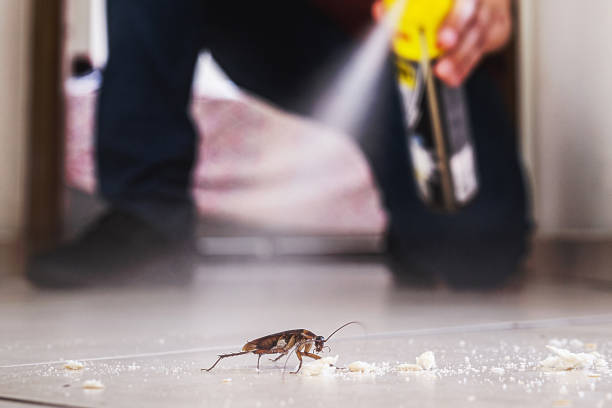 Best Bed Bug Extermination  in Mount Vernon, GA