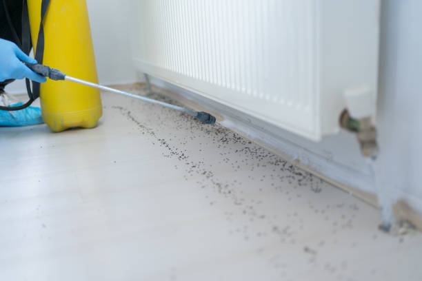 Trusted Mount Vernon, GA Pest Control Experts